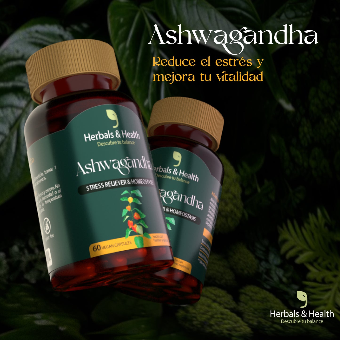 ASHWAGANDHA - REDUCE LA ANSIEDAD Y ESTRES